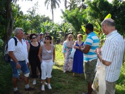 Urlaubsseminar in der Dominikanischen Republik 2013